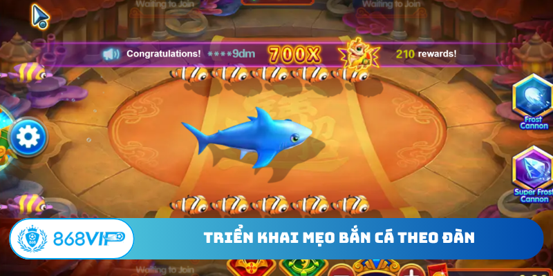 Triển khai mẹo bắn cá theo đàn